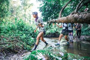 BIB: 
                            <button type="button" onclick="openModal(25445217)" class="btn btn-primary btn-sm float-right btn-popup" data-toggle="modal" data-target=".modal-high-quality">
                        <i class="fas fa-shopping-cart"></i> Add to Cart
                    </button>
                                            <button type="button" onclick="isThisMe(25445217, true)" class="btn btn-success btn-sm float-right btn-popup btn-isme hidden" data-toggle="tooltip" data-placement="bottom" title="นี่คือรูปของคุณใช่ไหม คลิกที่นี่เพื่อเอาเข้าอัลบั้ม">
                        <i class="fas fa-plus"></i> Add to album
                    </button>
                    <button type="button" onclick="isThisMe(25445217, false)" class="btn btn-warning btn-sm float-right btn-popup btn-isnotme hidden">
                        <i class="fas fa-ban"></i> Remove from album
                    </button>